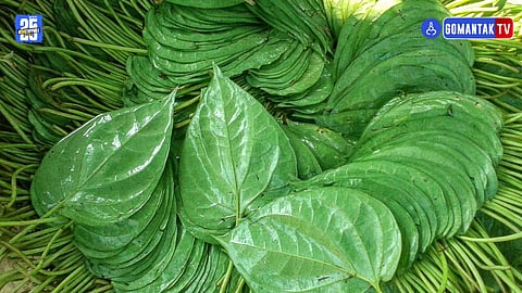 Goa Market Prices