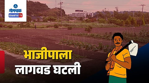 Goa Kharif Vegetable