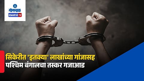 Goa Drug Bust