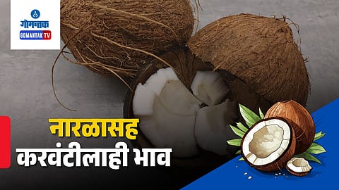 Goa Coconut Price