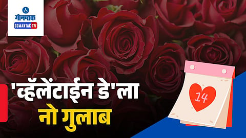 Valentine Day Special