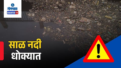 Sal River Pollution
