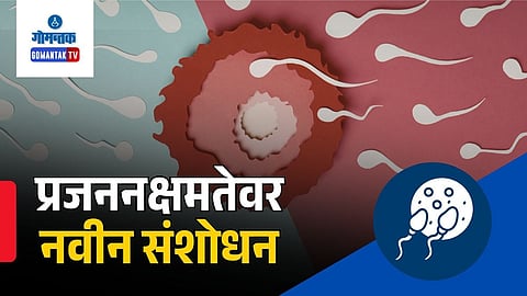 Male fertility research | Sperm quality study