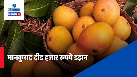 Goa Mankurad Mango