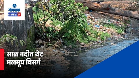 Sal river pollution