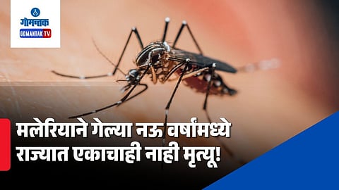 Goa malaria cases last 9 years zero deaths report