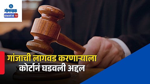 Goa Drug Case