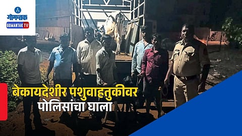 Valpoi Police Cattle Rescue
