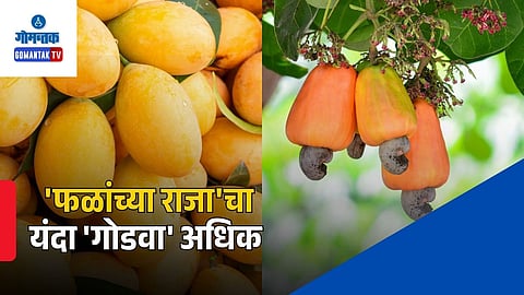 Goa Mango Production