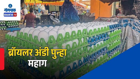 Broiler Egg Price Hike