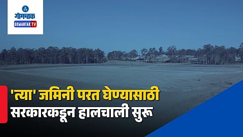 Forest land SIT probe