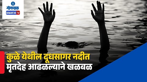 Dudhsagar River Incident