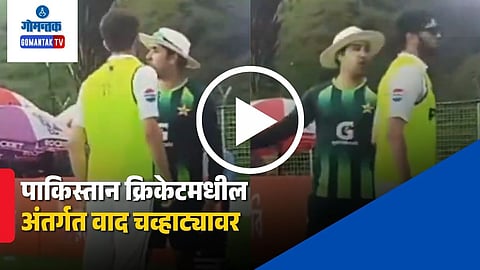 Shaheen Afridi Umar Gul Video