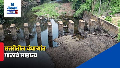 Sattari Rivers