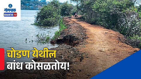 Mandovi River