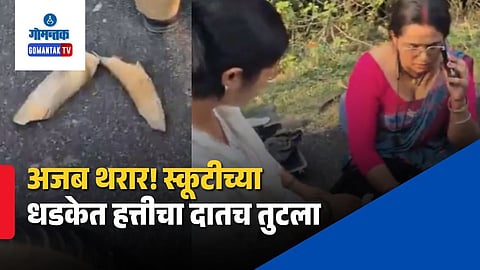Khatima Road Viral Video Elephant
