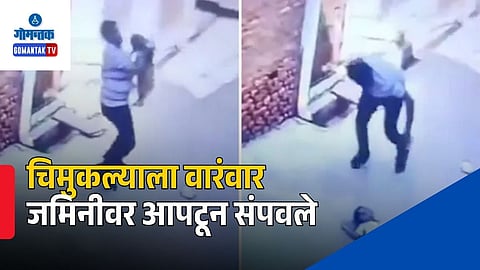 Uttar Pradesh Crime News