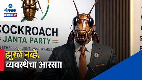 Youth Led Movement India