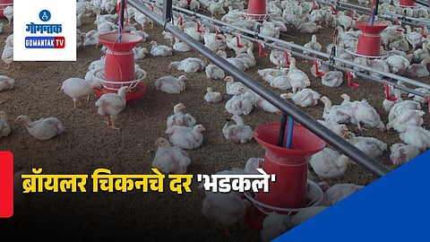 Chicken Price Hike