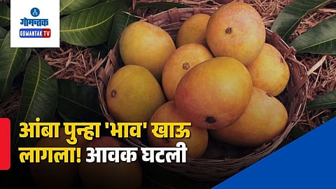 Mankurad Mango Market