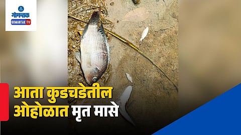 Curchorem stream pollution
