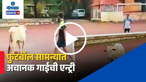 Viral Video