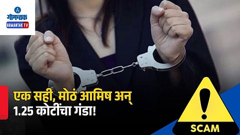 Tender Fraud Case