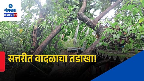 Bicholim Storm Impact