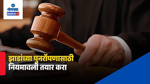 Goa High Court Tree Transplantation