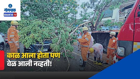 Tree Branch Falls on Car Goa