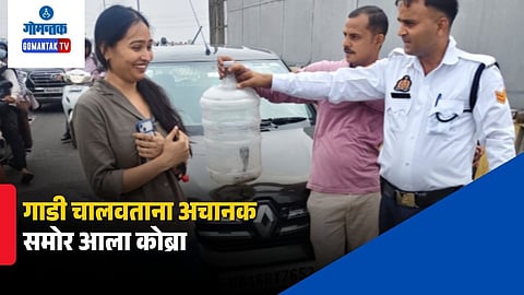 Ghaziabad Car Snake Video