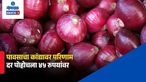 Onion Price Hike
