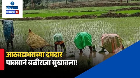 Goa Agriculture