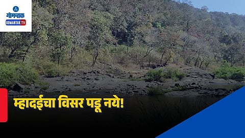Save Mhadei Movement
