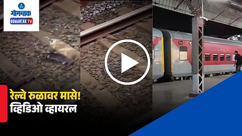 Mumbai viral video fish on railway tracks