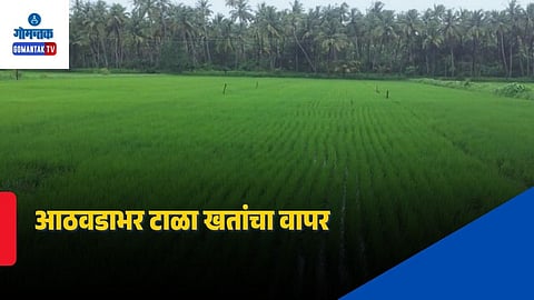 Goa Farmers Fertilizer Advisory