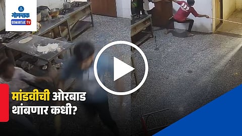 Kota Crocodile Viral Video
