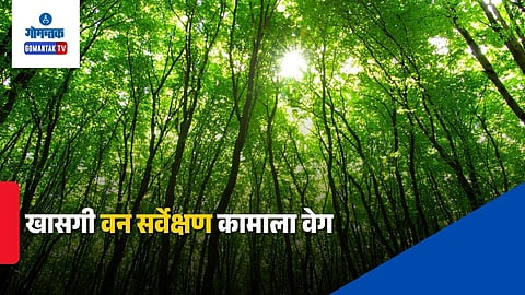 Goa Private Forest Survey