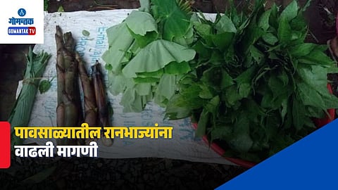 Monsoon Wild Vegetables Goa
