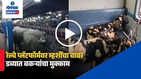 Viral Video Railway Platform