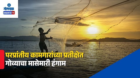 Goa Fishing Season