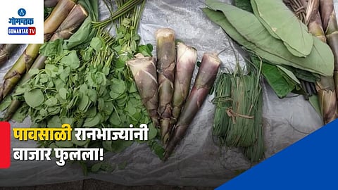 Monsoon Vegetables
