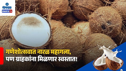 Goa Coconut Sale 38 Rupees
