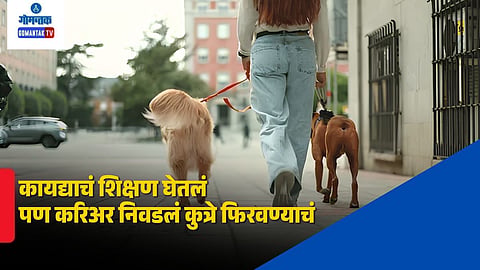 dog walker earns 50000 per day