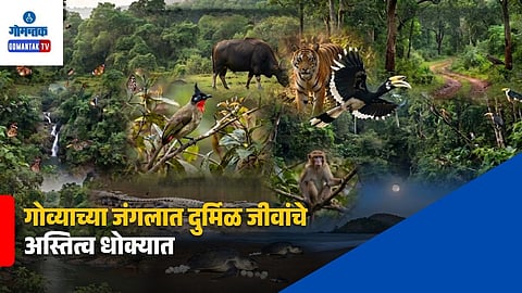 Goa Wildlife Conservation