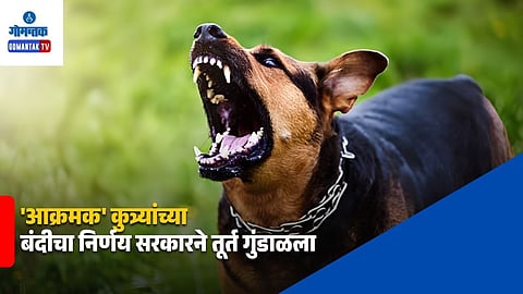 Goa Aggressive Dog Breeds Ban