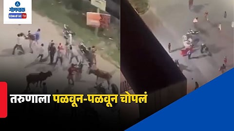 Greater Noida Delivery Riders Fight
