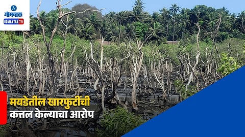 Mayem Mangrove Destruction Complaint