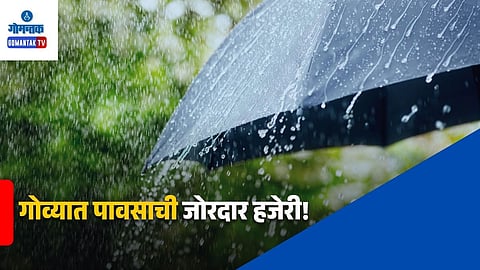 Dabolim Rainfall