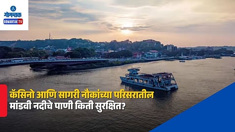 Mandovi River Water Pollution Report